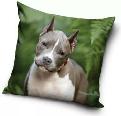  Kutyás Pit Bull Terrier párnahuzat 40x40 cm (CBX195003PD)