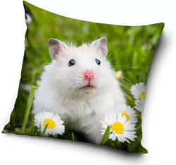 Egér párnahuzat 40*40 cm (CBX211144PD) - oliviashop