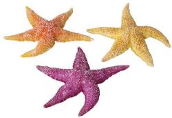 EBI AQUA DELLA tengeri csillag mix 17 x 15 x 2, 3cm 1db