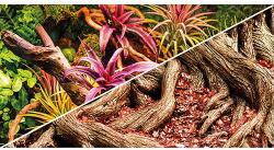  HOBBY Akvárium háttér kétoldalas Jungle / Strangler Fig 50cm x 25m
