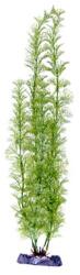  PENN PLAX Műnövény 45, 5 cm Flowering Cabomba Super