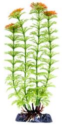 PENN PLAX Műnövény 28 cm Ambulia (Green) L