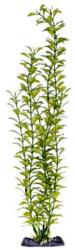 PENN PLAX Műnövény 45, 5 cm Blooming Ludwigia (Green) Super