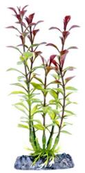 PENN PLAX Műnövény 15, 24 cm Blooming Ludwigia (Red) S