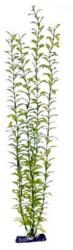  PENN PLAX Műnövény 56 cm Blooming Ludwigia (Green) Giant