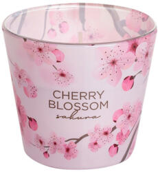 Bartek Candles Illatgyertya pohárban 115g - Cherry Blossom Sakura Pink Blush (71826)