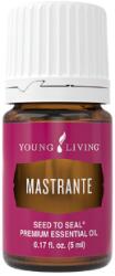 Young Living Ulei esential Mastrante 5 ML