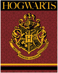 E plus M Harry Potter Crest polár takaró 120x150cm (EMM5248361)