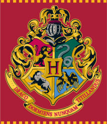 E plus M Harry Potter Red polár takaró 120x150cm (EMM5248128)