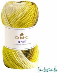 DMC Brio 410 - Sárgától Barnáig - színes fonal