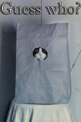 Game for people Guess who? (PC)