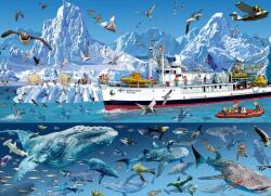 Bluebird Puzzle - Puzzle François Ruyer - Arctic - Bluebird Boat - 1 500 piese