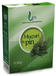Larix Muguri de pin 50 g