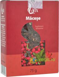 Larix Macese 75 g