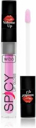 WIBO Lip Gloss Spicy luciu de buze pentru un volum suplimentar 3 3 ml
