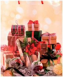 Cardex Ajándéktáska Karácsonyi ajándék mintázattal 26x32x12, 5cm (HTY002/ajandek) - jatekshop
