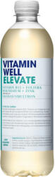 Vitamin Well Elevate 500 ml, ananász-vadeper