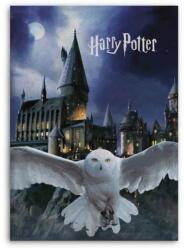 Halantex Harry Potter Roxfort polár takaró 100x140cm (AYM187662)