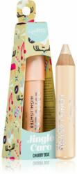 puroBIO Cosmetics Jingle Care Chubby Box creion iluminator ediție cadou 3, 3 g