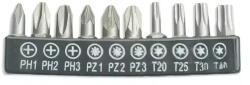 Dedra Csavarhúzó bitkészlet 10db, 25mm: PH1/2/3, PZ1/2/3, T20/25/30/40 18A07S10 (18A07S10)