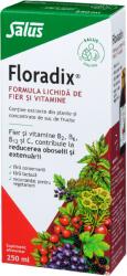 SALUS Formula lichida de fier si vitamine Floradix®, 250 ml, Salus