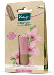 Kneipp Mandulavirág ajakápoló - 4, 7g - vitaminbolt - 1 663 Ft