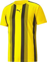 PUMA Bluza Puma teamLIGA Striped Jersey 70492007 Marime L (70492007)