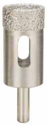 Bosch CAROTA DIA 21 mm/ GTR 30 (2608620213)
