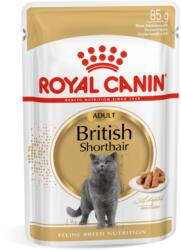 Royal Canin British Shorthair Adult 85g-Brit rövidszörű felnőtt macska nedves táp