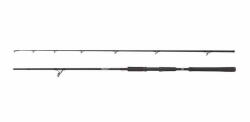 Abu Garcia Lanseta Abu Garcia Beast Pike Spin 842XH 2.54m 30-110g (1561322)