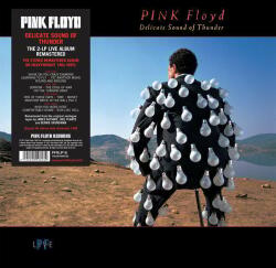 Pink Floyd - Delicate Sound Of Thunder (LP) (190295996932)
