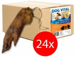 DOG VITAL Disznóláb 24db/karton