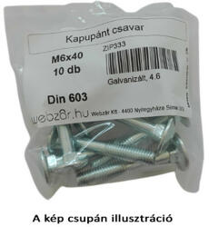  Kapupánt csavar DIN 603, 4.8 galvanikusan horganyzott, M6x100 (10 db/cs) (ZIP329)