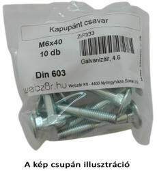  Kapupánt csavar DIN 603, 4.8 galvanikusan horganyzott, M6x40 (10 db) (ZIP333)