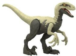 Mattel Jurassic World: Dinoszaurusz figura 2023 - Raptor (HLN49)