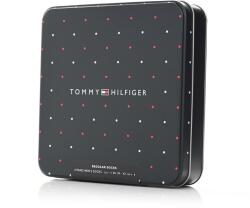 Tommy Hilfiger Sock 4p Tin Gift Box Stripe Dot (701224441__000239-42) - sportfactory
