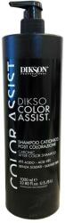 DIKSON Șampon pentru păr vopsit - Dikson Color Assist. Shampoo 1000 ml