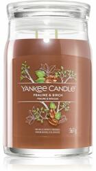 Yankee Candle Praline Birch 567 g