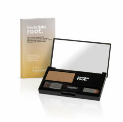 ALFAPARF Milano - Pudra nuantatoare pentru radacina Alfaparf Milano Invisible Root Touch Up Powder 5 g Blond Deschis