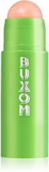 Buxom POWER-FULL LIP BALM SCRUB balsam și exfoliant pentru buze culoare Sweet Guava 6 g