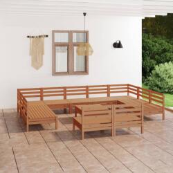 vidaXL Set mobilier de grădină, 12 piese, maro miere, lemn masiv pin (3083452) - comfy