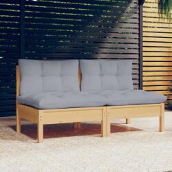 vidaXL Canapea de grădină cu 2 locuri, cu perne gri, lemn masiv pin (3095991) - comfy