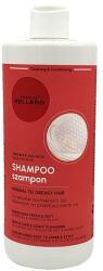 Fergio Bellaro Șampon pentru păr normal și gras „Salvie și ulei de açaí - Fergio Bellaro Shampoo Normal to Greasy Hair 500 ml