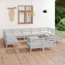 vidaXL Set mobilier de grădină, 12 piese, alb, lemn masiv de pin (3083490) - comfy