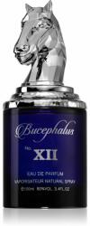 Armaf Bucephalus No. XII EDP 100 ml