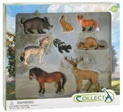 CollectA Set de 8 figurine pictate manual Animale din padure (COL84151WB) - babyneeds Figurina
