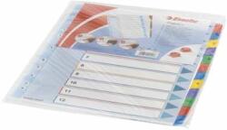 Esselte Separator, A4, registru Maxi 1-12, față din carton laminat 100209 Esselte (100209)