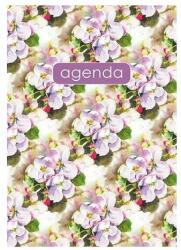Dayliner Calendar, planificator, A5, săptămânal, DAYLINER "Culori de primăvară", violet (DL4AG-COFA5HE-SPLI)