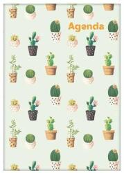 Dayliner Calendar, planificator, A5, săptămânal, DAYLINER, "Culori", Cactus (DL4AG-COFA5HE-CC)