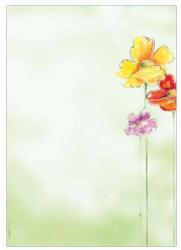 Sigel Hârtie preimprimată, A4, 90g, SIGEL "Flori de primăvară (DP123)
